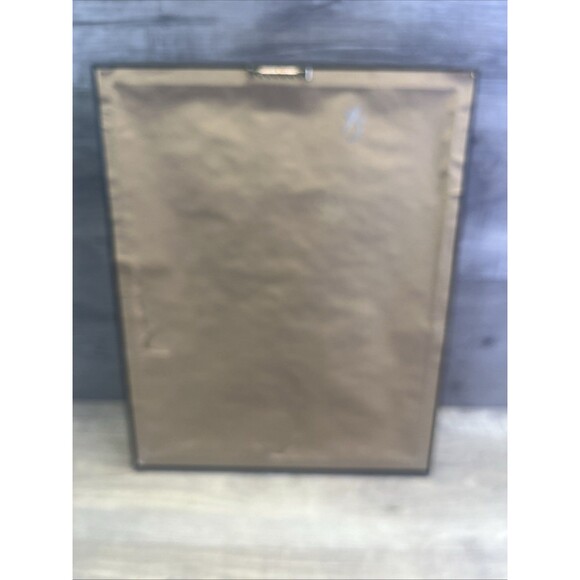 Chicago Cubs 2016 World Series Champs Celebration Collectible Framed Photo - Picture 6 of 14